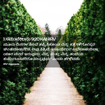 Picture 02 - 1 ಸಮುವೇಲನು 9:20 KANIRV - ಮೂರು ದಿನಗಳ ಹಿಂದೆ - Bible Verse Picture