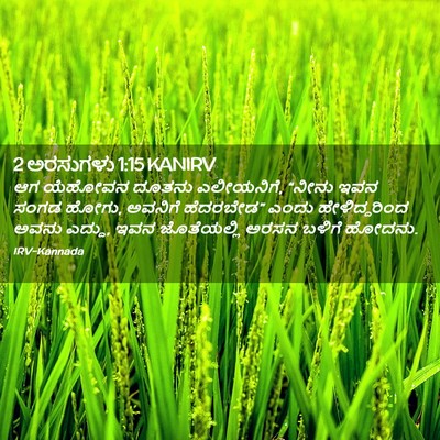 Picture 02 - 2 ಅರಸುಗಳು 1:15 KANIRV - ಆಗ ಯೆಹೋವನ ದೂತನು - Bible Verse Picture