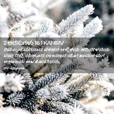 Picture 02 - 2 ಅರಸುಗಳು 16:1 KANIRV - ರೆಮಲ್ಯನ ಮಗನಾದ - Bible Verse Picture