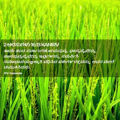 Picture 02 - 2 ಅರಸುಗಳು 16:13 KANIRV - ತಾನು ತಂದ - Bible Verse Picture