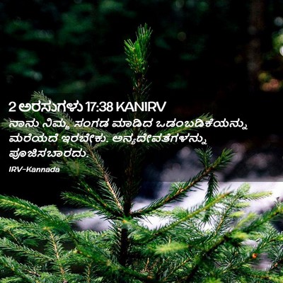 Picture 02 - 2 ಅರಸುಗಳು 17:38 KANIRV - ನಾನು ನಿಮ್ಮ ಸಂಗಡ - Bible Verse Picture