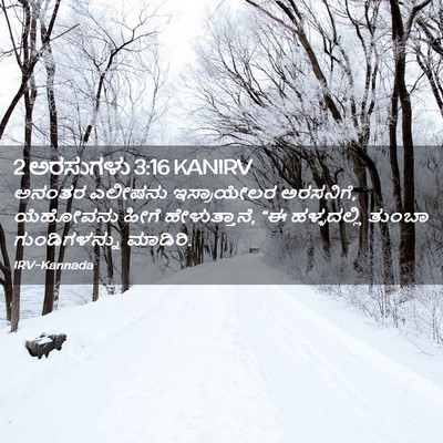 Picture 02 - 2 ಅರಸುಗಳು 3:16 KANIRV - ಅನಂತರ ಎಲೀಷನು - Bible Verse Picture