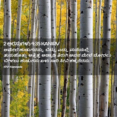 Picture 02 - 2 ಅರಸುಗಳು 4:35 KANIRV - ಆಮೇಲೆ ಹುಡುಗನನ್ನು - Bible Verse Picture