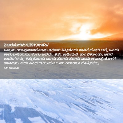 Picture 02 - 2 ಅರಸುಗಳು 4:39 KANIRV - ಒಬ್ಬನು - Bible Verse Picture
