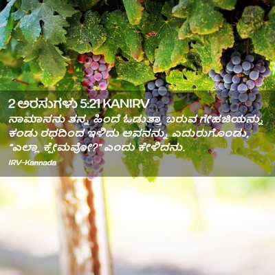 Picture 02 - 2 ಅರಸುಗಳು 5:21 KANIRV - ನಾಮಾನನು ತನ್ನ - Bible Verse Picture