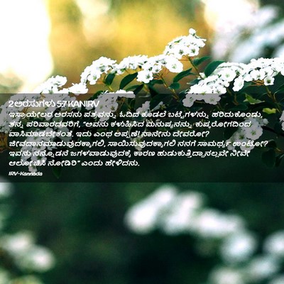 Picture 02 - 2 ಅರಸುಗಳು 5:7 KANIRV - ಇಸ್ರಾಯೇಲರ ಅರಸನು - Bible Verse Picture