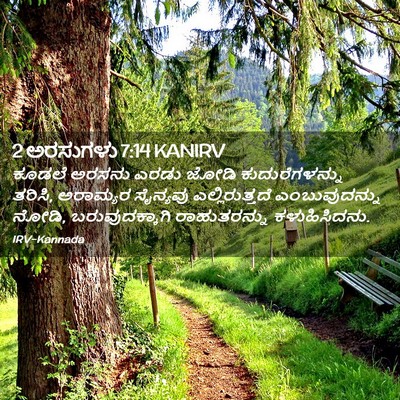 Picture 02 - 2 ಅರಸುಗಳು 7:14 KANIRV - ಕೂಡಲೆ ಅರಸನು ಎರಡು - Bible Verse Picture