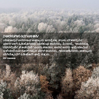 Picture 02 - 2 ಅರಸುಗಳು 9:27 KANIRV - ಯೆಹೂದ್ಯರ ಅರಸನಾದ - Bible Verse Picture
