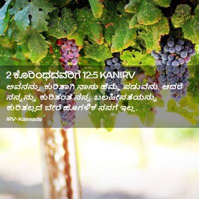 Picture 02 - 2 ಕೊರಿಂಥದವರಿಗೆ 12:5 KANIRV - ಅವನನ್ನು ಕುರಿತಾಗಿ - Bible Verse Picture