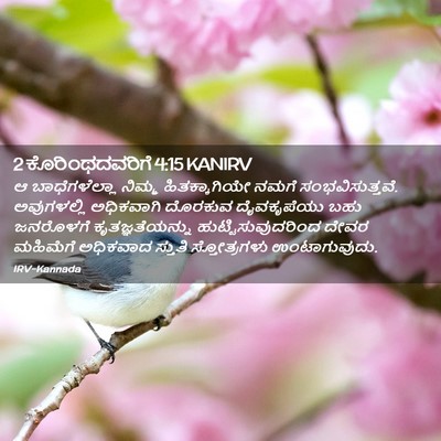 Picture 02 - 2 ಕೊರಿಂಥದವರಿಗೆ 4:15 KANIRV - ಆ ಬಾಧೆಗಳೆಲ್ಲಾ - Bible Verse Picture