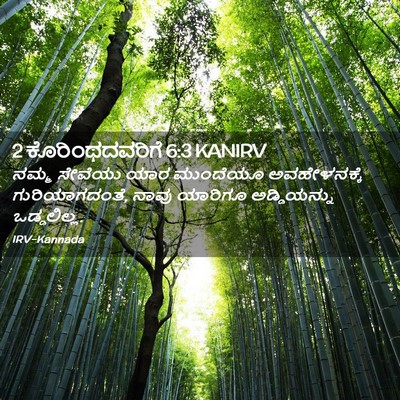 Picture 02 - 2 ಕೊರಿಂಥದವರಿಗೆ 6:3 KANIRV - ನಮ್ಮ ಸೇವೆಯು ಯಾರ - Bible Verse Picture
