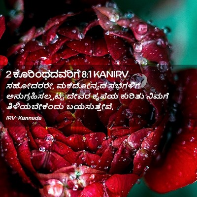 Picture 02 - 2 ಕೊರಿಂಥದವರಿಗೆ 8:1 KANIRV - ಸಹೋದರರೇ, - Bible Verse Picture