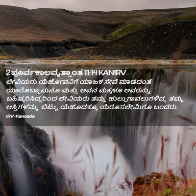 Picture 02 - 2 ಪೂರ್ವಕಾಲವೃತ್ತಾಂತ 11:14 KANIRV - ಲೇವಿಯರು ಯೆಹೋವನಿಗೆ - Bible Verse Picture