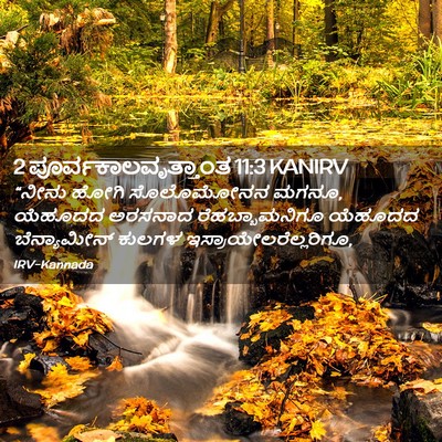 Picture 02 - 2 ಪೂರ್ವಕಾಲವೃತ್ತಾಂತ 11:3 KANIRV - “ನೀನು ಹೋಗಿ - Bible Verse Picture