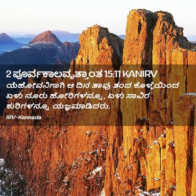 Picture 02 - 2 ಪೂರ್ವಕಾಲವೃತ್ತಾಂತ 15:11 KANIRV - ಯೆಹೋವನಿಗಾಗಿ ಆ ದಿನ - Bible Verse Picture