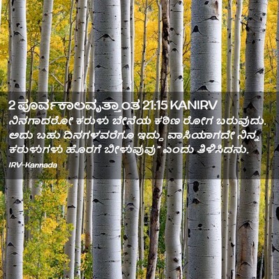 Picture 02 - 2 ಪೂರ್ವಕಾಲವೃತ್ತಾಂತ 21:15 KANIRV - ನಿನಗಾದರೋ ಕರುಳು - Bible Verse Picture