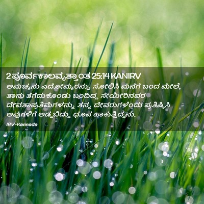 Picture 02 - 2 ಪೂರ್ವಕಾಲವೃತ್ತಾಂತ 25:14 KANIRV - ಅಮಚ್ಯನು - Bible Verse Picture