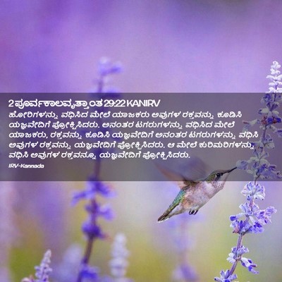 Picture 02 - 2 ಪೂರ್ವಕಾಲವೃತ್ತಾಂತ 29:22 KANIRV - ಹೋರಿಗಳನ್ನು ವಧಿಸಿದ - Bible Verse Picture