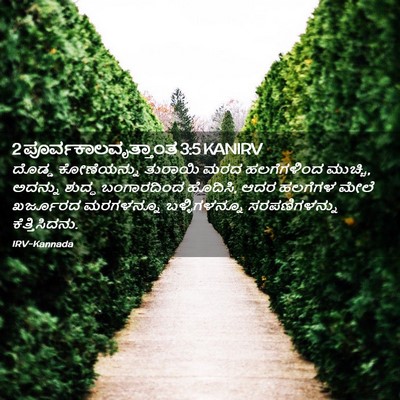 Picture 02 - 2 ಪೂರ್ವಕಾಲವೃತ್ತಾಂತ 3:5 KANIRV - ದೊಡ್ಡ ಕೋಣೆಯನ್ನು - Bible Verse Picture