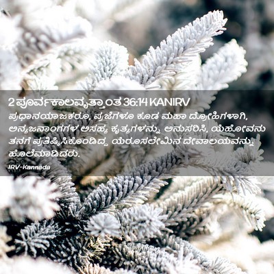 Picture 02 - 2 ಪೂರ್ವಕಾಲವೃತ್ತಾಂತ 36:14 KANIRV - ಪ್ರಧಾನಯಾಜಕರೂ, - Bible Verse Picture