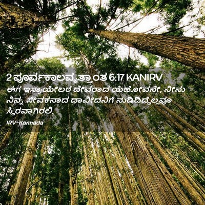 Picture 02 - 2 ಪೂರ್ವಕಾಲವೃತ್ತಾಂತ 6:17 KANIRV - ಈಗ ಇಸ್ರಾಯೇಲರ - Bible Verse Picture