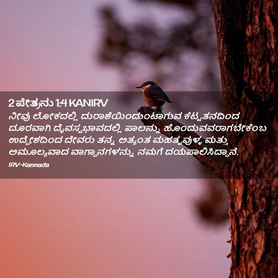 Picture 02 - 2 ಪೇತ್ರನು 1:4 KANIRV - ನೀವು ಲೋಕದಲ್ಲಿ - Bible Verse Picture