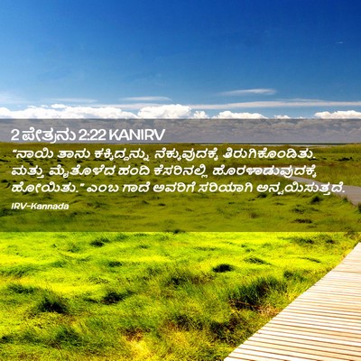 Picture 02 - 2 ಪೇತ್ರನು 2:22 KANIRV - “ನಾಯಿ ತಾನು - Bible Verse Picture
