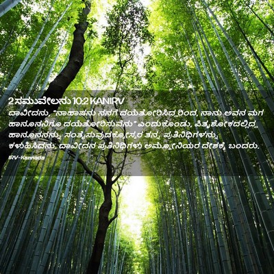 Picture 02 - 2 ಸಮುವೇಲನು 10:2 KANIRV - ದಾವೀದನು, “ನಾಹಾಷನು - Bible Verse Picture