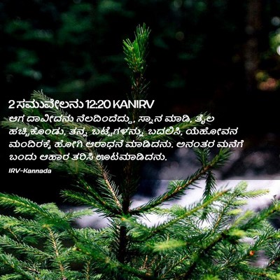 Picture 02 - 2 ಸಮುವೇಲನು 12:20 KANIRV - ಆಗ ದಾವೀದನು - Bible Verse Picture