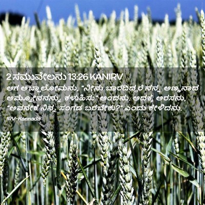 Picture 02 - 2 ಸಮುವೇಲನು 13:26 KANIRV - ಆಗ ಅಬ್ಷಾಲೋಮನು, - Bible Verse Picture