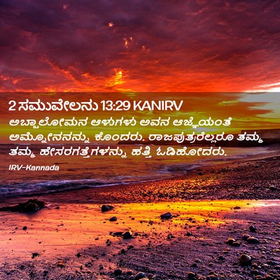 Picture 02 - 2 ಸಮುವೇಲನು 13:29 KANIRV - ಅಬ್ಷಾಲೋಮನ ಆಳುಗಳು - Bible Verse Picture