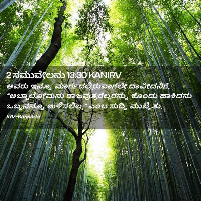 Picture 02 - 2 ಸಮುವೇಲನು 13:30 KANIRV - ಅವರು ಇನ್ನೂ - Bible Verse Picture