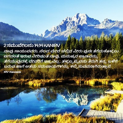 Picture 02 - 2 ಸಮುವೇಲನು 14:14 KANIRV - ನಾವು ಸಾಯುವವರು. - Bible Verse Picture