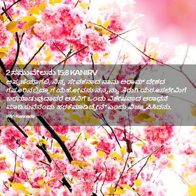 Picture 02 - 2 ಸಮುವೇಲನು 15:8 KANIRV - ಅಪ್ಪಣೆಯಾಗಲಿ, - Bible Verse Picture