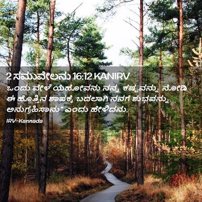 Picture 02 - 2 ಸಮುವೇಲನು 16:12 KANIRV - ಒಂದು ವೇಳೆ ಯೆಹೋವನು - Bible Verse Picture