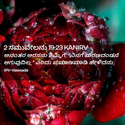 Picture 02 - 2 ಸಮುವೇಲನು 19:23 KANIRV - ಅನಂತರ ಅರಸನು - Bible Verse Picture