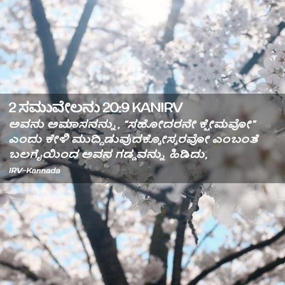 Picture 02 - 2 ಸಮುವೇಲನು 20:9 KANIRV - ಅವನು ಅಮಾಸನನ್ನು, - Bible Verse Picture