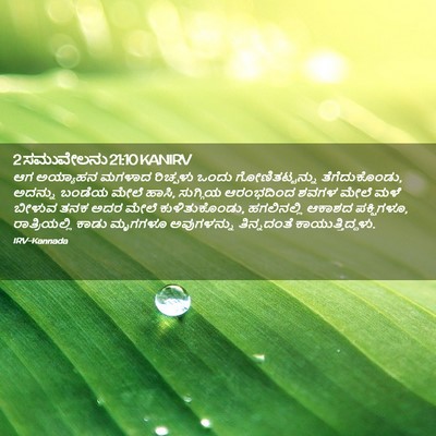 Picture 02 - 2 ಸಮುವೇಲನು 21:10 KANIRV - ಆಗ ಅಯ್ಯಾಹನ ಮಗಳಾದ - Bible Verse Picture