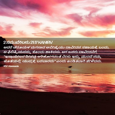 Picture 02 - 2 ಸಮುವೇಲನು 21:17 KANIRV - ಆದರೆ ಚೆರೂಯಳ ಮಗನಾದ - Bible Verse Picture