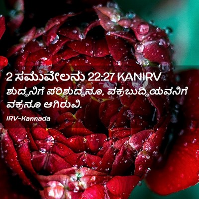 Picture 02 - 2 ಸಮುವೇಲನು 22:27 KANIRV - ಶುದ್ಧನಿಗೆ - Bible Verse Picture