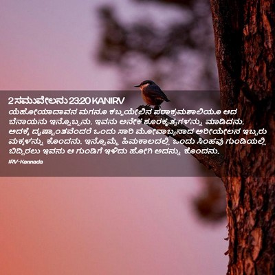 Picture 02 - 2 ಸಮುವೇಲನು 23:20 KANIRV - ಯೆಹೋಯಾದಾವನ ಮಗನೂ - Bible Verse Picture