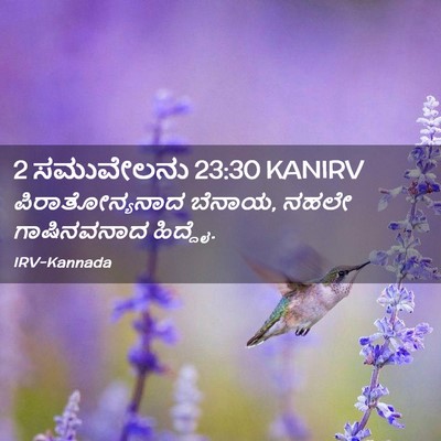 Picture 02 - 2 ಸಮುವೇಲನು 23:30 KANIRV - ಪಿರಾತೋನ್ಯನಾದ - Bible Verse Picture