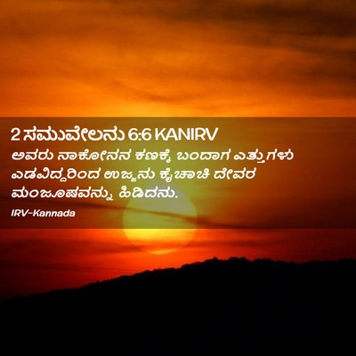 Picture 02 - 2 ಸಮುವೇಲನು 6:6 KANIRV - ಅವರು ನಾಕೋನನ - Bible Verse Picture