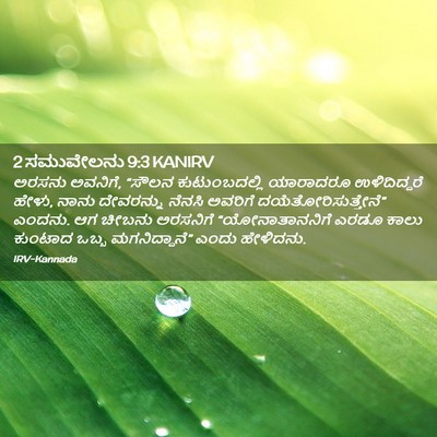 Picture 02 - 2 ಸಮುವೇಲನು 9:3 KANIRV - ಅರಸನು ಅವನಿಗೆ, - Bible Verse Picture
