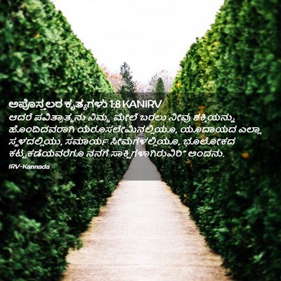 Picture 02 - ಅಪೊಸ್ತಲರ ಕೃತ್ಯಗಳು 1:8 KANIRV - ಆದರೆ ಪವಿತ್ರಾತ್ಮನು - Bible Verse Picture