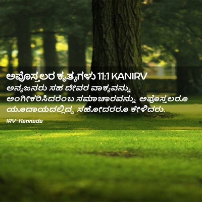 Picture 02 - ಅಪೊಸ್ತಲರ ಕೃತ್ಯಗಳು 11:1 KANIRV - ಅನ್ಯಜನರು ಸಹ ದೇವರ - Bible Verse Picture