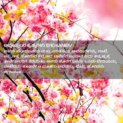 Picture 02 - ಅಪೊಸ್ತಲರ ಕೃತ್ಯಗಳು 12:10 KANIRV - ಅವರು ಮೊದಲನೆಯ - Bible Verse Picture