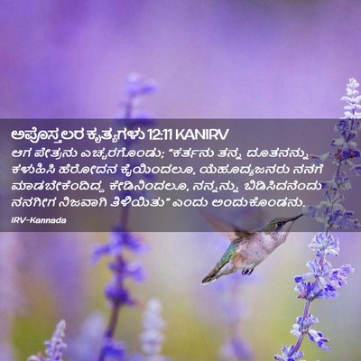 Picture 02 - ಅಪೊಸ್ತಲರ ಕೃತ್ಯಗಳು 12:11 KANIRV - ಆಗ ಪೇತ್ರನು - Bible Verse Picture