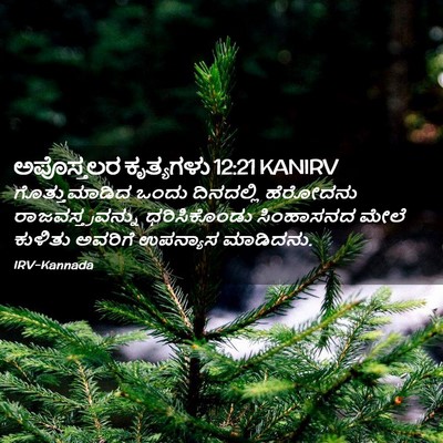 Picture 02 - ಅಪೊಸ್ತಲರ ಕೃತ್ಯಗಳು 12:21 KANIRV - ಗೊತ್ತುಮಾಡಿದ ಒಂದು - Bible Verse Picture