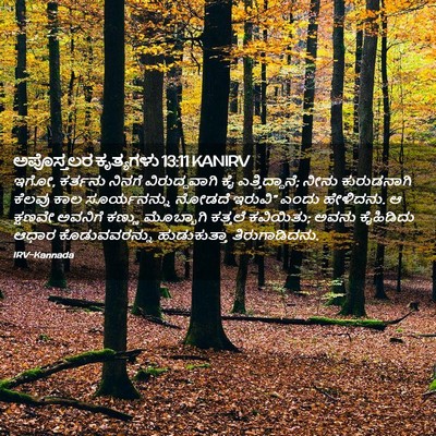 Picture 02 - ಅಪೊಸ್ತಲರ ಕೃತ್ಯಗಳು 13:11 KANIRV - ಇಗೋ, ಕರ್ತನು ನಿನಗೆ - Bible Verse Picture
